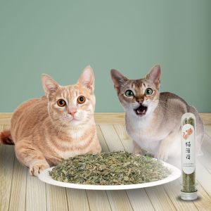 Tubo Refil Catnip